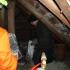 sdc10247.jpg